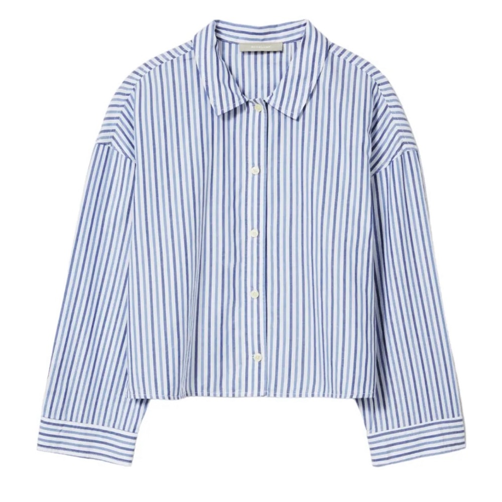 Everlane Blue and White Striped Button Down Shirt